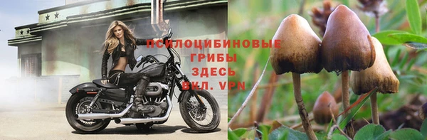мдма Пересвет