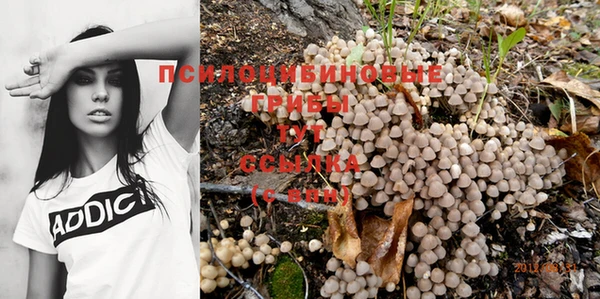 spice Пестово
