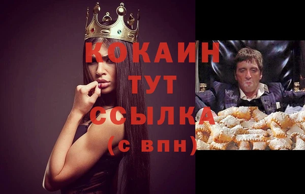 spice Пестово