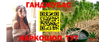 дживик Кунгур