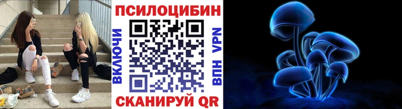 Псилоцибиновые грибы ЛСД ссылка на мегу ONION Сланцы купить сайты