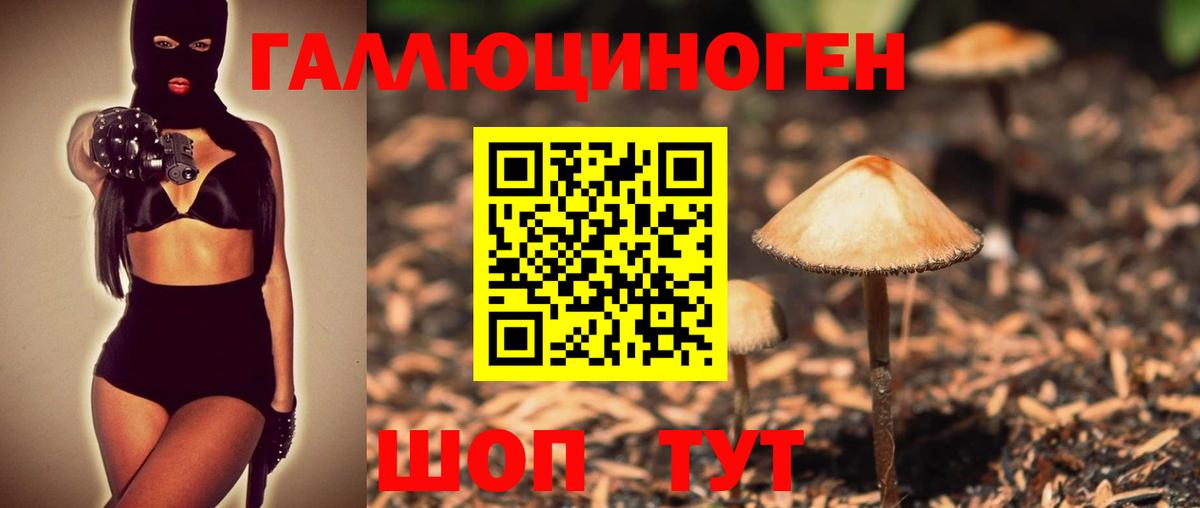 Галлюциногенные грибы ЛСД Сланцы