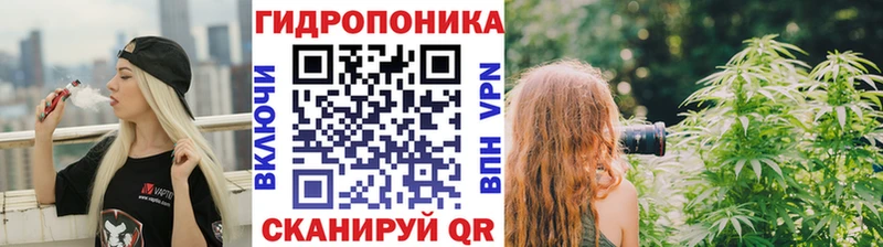 где купить Сланцы Каннабис Ganja